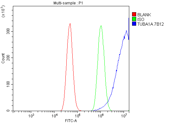 1 - Anti-Tubulin alpha Picoband™ Antibody (monoclonal, 7B12) ABO15015