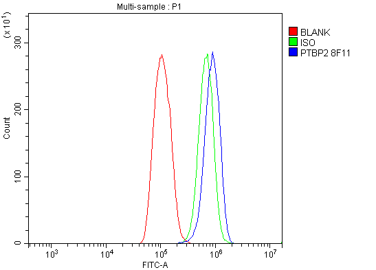 1 - Anti-PTBP2 Picoband™ Antibody (monoclonal, 8F11) ABO15016