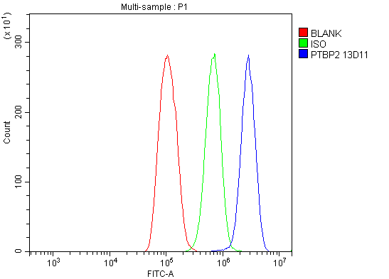 1 - Anti-PTBP2 Picoband™ Antibody (monoclonal, 13D11) ABO15017