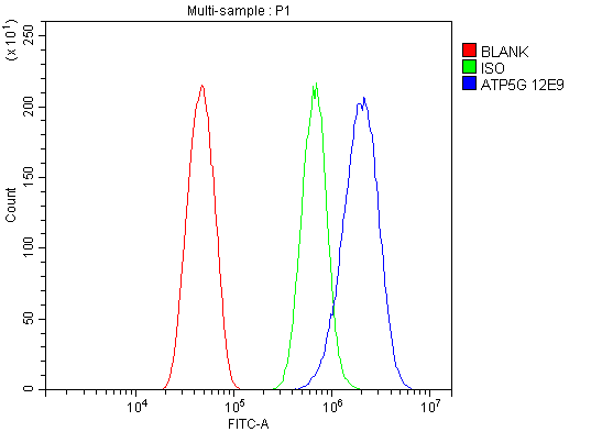 1 - Anti-ATP5F1,2,3/ATP5MC1,2,3 Picoband™ Antibody (monoclonal, 12E9) ABO15019