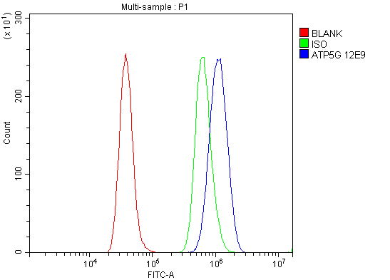 1 - Anti-ATP5F1,2,3/ATP5MC1,2,3 Picoband™ Antibody (monoclonal, 12E9) ABO15019