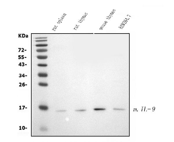 1 - Anti- IL-9 Monoclonal Antibody ABO15022