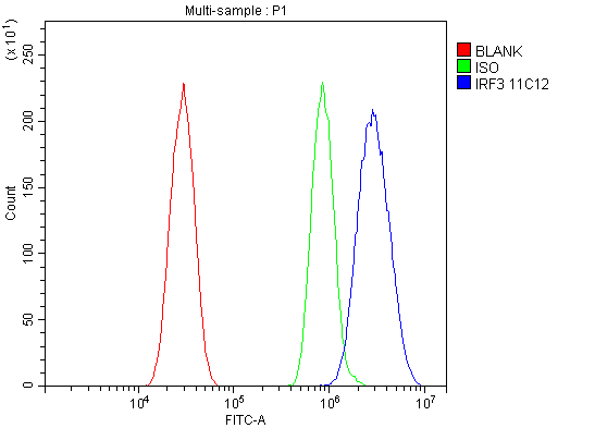 1 - Anti-IRF3 Antibody Picoband™ (monoclonal, 11H2) ABO15031