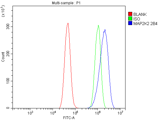 1 - Anti-MEK2/MAP2K2 Antibody Picoband™ (monoclonal, 2B4) ABO15039