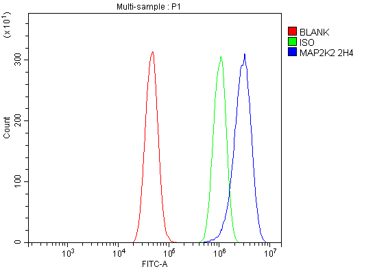 1 - Anti-MEK2/MAP2K2 Antibody Picoband™ (monoclonal, 2H4) ABO15040