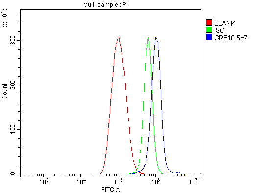 1 - Anti-GRB10 Antibody Picoband™ (monoclonal, 5H7) ABO15041