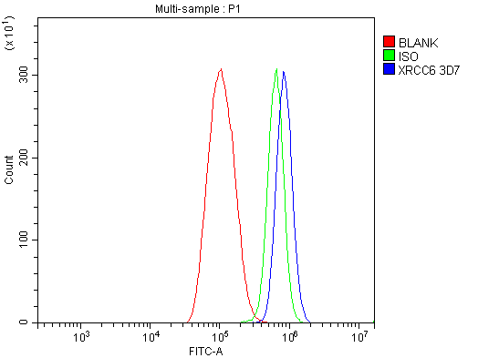 1 - Anti-Ku70 Antibody Picoband™ (monoclonal, 3D7) ABO15043