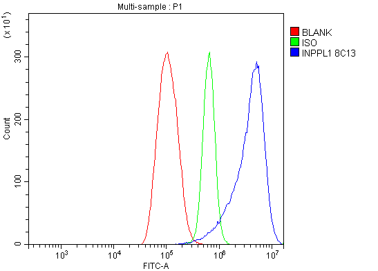 1 - Anti-INPPL1 Antibody Picoband™ (monoclonal, 8C13) ABO15044