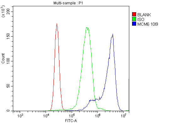 1 - Anti-MCM6 Antibody Picoband™ (monoclonal, 10I9) ABO15045