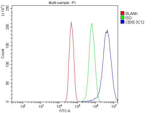 1 - Anti-HP1 alpha/CBX5 Antibody Picoband™ (monoclonal, 8G6) ABO15046