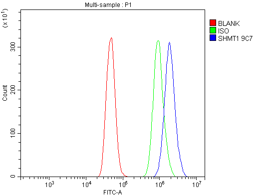 1 - Anti-SHMT1 Antibody Picoband™ (monoclonal, 9C7) ABO15048
