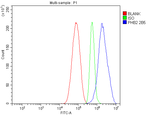1 - Anti-REA/PHB2 Antibody Picoband™ (monoclonal, 2B5) ABO15050