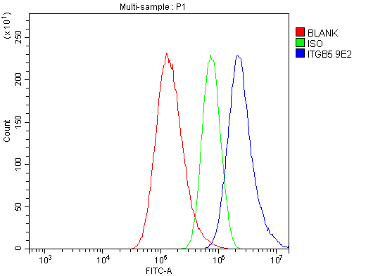 1 - Anti-Integrin beta 5/ITGB5 Antibody Picoband™ (monoclonal, 9E2) ABO15051