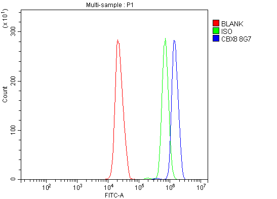 1 - Anti-Cbx8 Antibody Picoband™ (monoclonal, 8G7) ABO15052