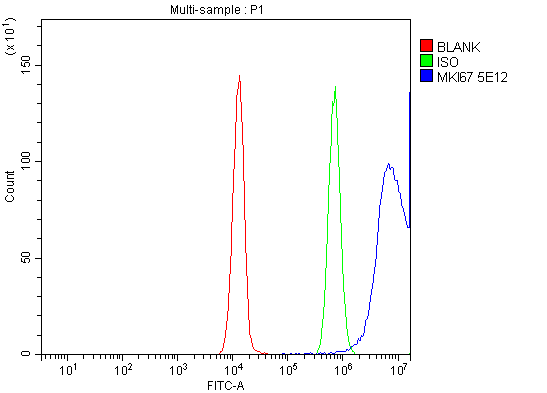 1 - Anti-Ki67 Antibody Picoband™ (monoclonal, 5E12) ABO15053