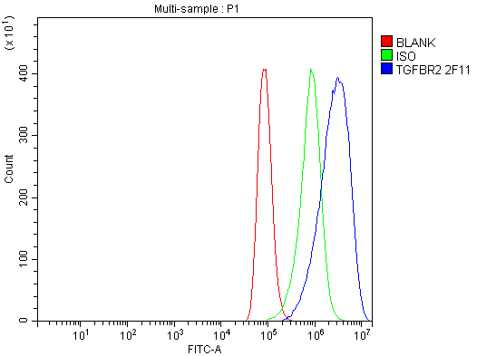 1 - Anti-TGFBR2 Antibody Picoband™ (monoclonal, 2F11) ABO15055