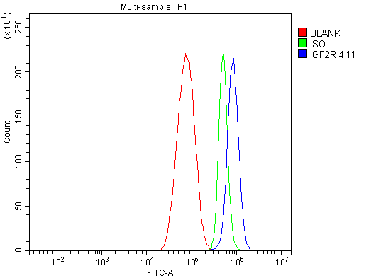 1 - Anti-IGF2R Antibody Picoband™ (monoclonal, 4I11) ABO15056