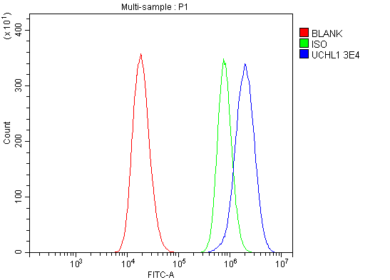 1 - Anti-PGP9.5 Antibody Picoband™ (monoclonal, 3E4) ABO15058