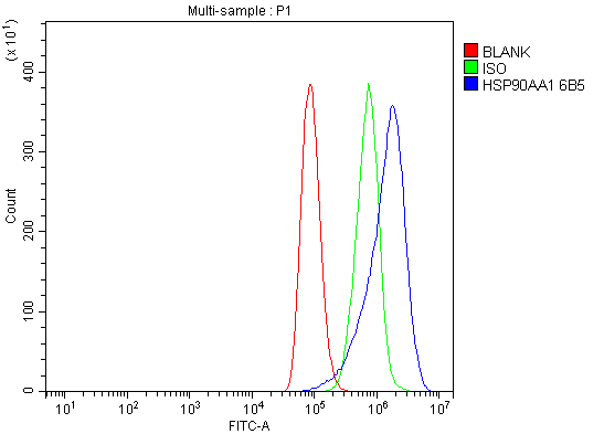 1 - Anti-Hsp90 alpha Antibody Picoband™ (monoclonal, 6B5) ABO15059