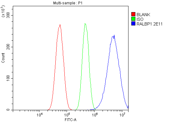 1 - Anti-RALBP1 Antibody Picoband™ (monoclonal, 2E11) ABO15060