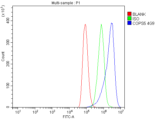 1 - Anti-JAB1 Antibody Picoband™ (monoclonal, 4G9) ABO15061