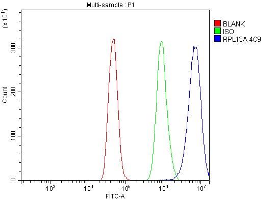 1 - Anti-RPL13A Antibody Picoband™ (monoclonal, 4C9) ABO15064