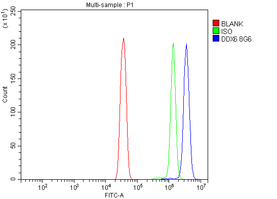 1 - Anti-DDX6 Antibody Picoband™ (monoclonal, 8G6) ABO15065