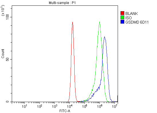 1 - Anti-GSDMD Antibody Picoband™ (monoclonal, 6D11) ABO15066
