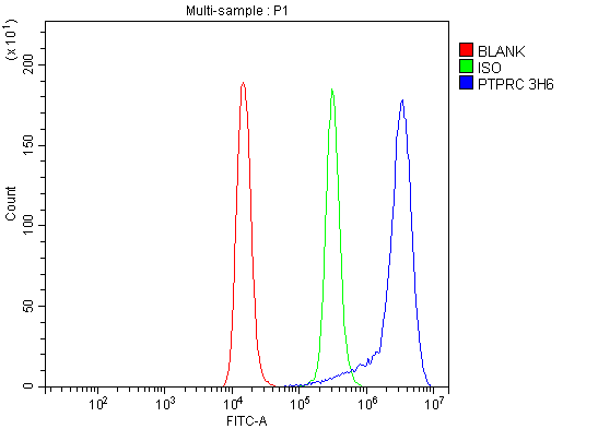 1 - Anti-CD45 Antibody Picoband™ (monoclonal, 3H6) ABO15074