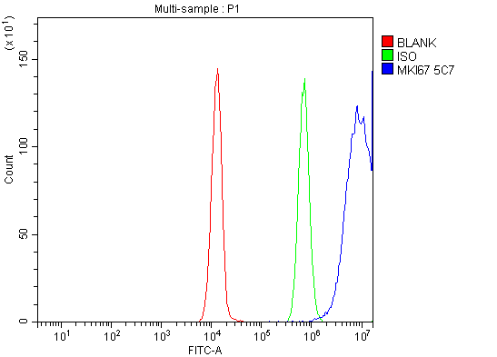 1 - Anti-Ki67 Antibody Picoband™ (monoclonal, 5C7) ABO15075