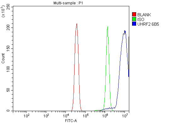 1 - Anti-NIRF Antibody Picoband™ (monoclonal, 6B5) ABO15076