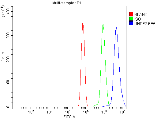 1 - Anti-NIRF Antibody Picoband™ (monoclonal, 6B5) ABO15076