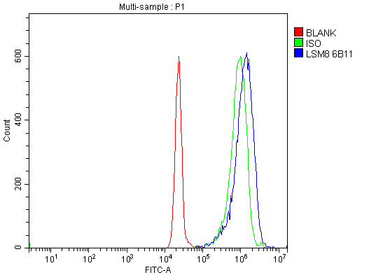 1 - Anti-LSM8 Antibody Picoband™ (monoclonal, 6B11) ABO15078