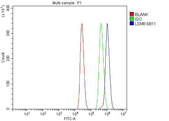 1 - Anti-LSM8 Antibody Picoband™ (monoclonal, 6B11) ABO15078