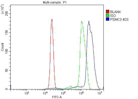 1 - Anti-TBP-1/PSMC3 Antibody Picoband™ (monoclonal, 4D3) ABO15079