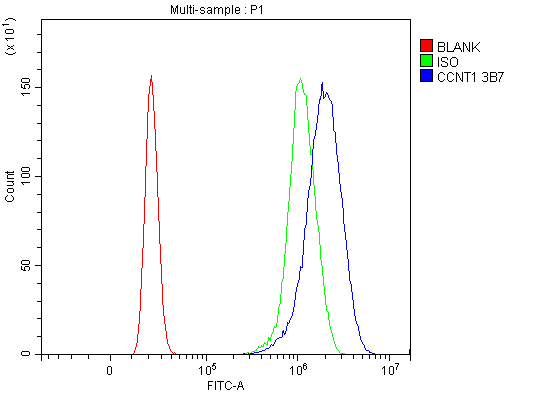 1 - Anti-Cyclin T1 Antibody Picoband™ (monoclonal, 3B7) ABO15080