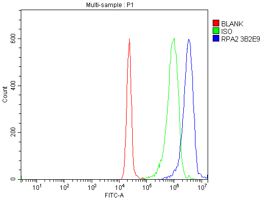 1 - Anti-RPA32/RPA2 Antibody Picoband™ (monoclonal, 3B2E9) ABO15081