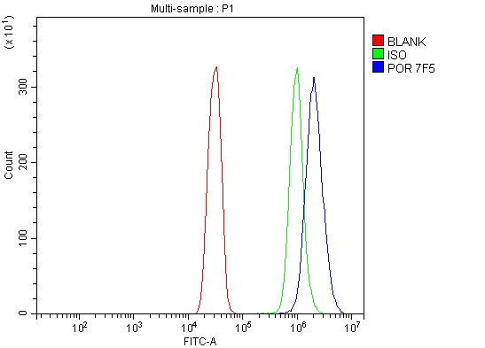 1 - Anti-POR Antibody Picoband™ (monoclonal, 7F5) ABO15083