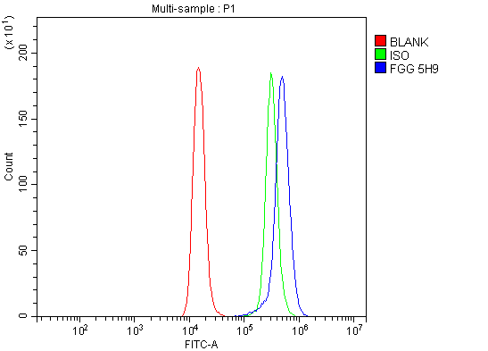 1 - Anti-FGG Antibody Picoband™ (monoclonal, 5H9) ABO15084