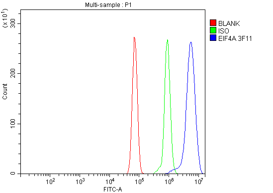 3 - Anti-EIF4A1 Antibody Picoband™ (monoclonal, 3F11) ABO15085
