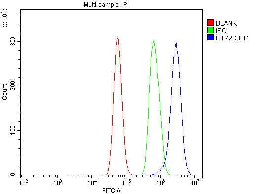 3 - Anti-EIF4A1 Antibody Picoband™ (monoclonal, 3F11) ABO15085