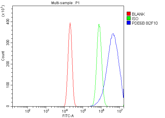 1 - Anti-PDE6 beta/PDE6B Antibody Picoband™ (monoclonal, 8I2F10) ABO15091