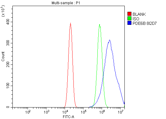 1 - Anti-PDE6 beta/PDE6B Antibody Picoband™ (monoclonal, 8I2D7) ABO15092
