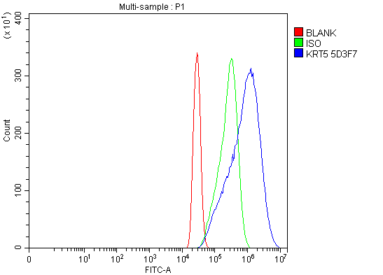 1 - Anti-Cytokeratin 5 Antibody Picoband™ (monoclonal, 5D3F7) ABO15094