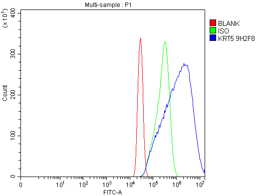 1 - Anti-Cytokeratin 5 Antibody Picoband™ (monoclonal, 9H2F8) ABO15095