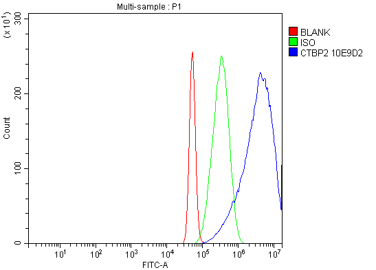 1 - Anti-CTBP2 Antibody Picoband™ (monoclonal, 10E9D2) ABO15097