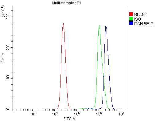 1 - Anti-ITCH/AIP4 Antibody Picoband™ (monoclonal, 5E12) ABO15099