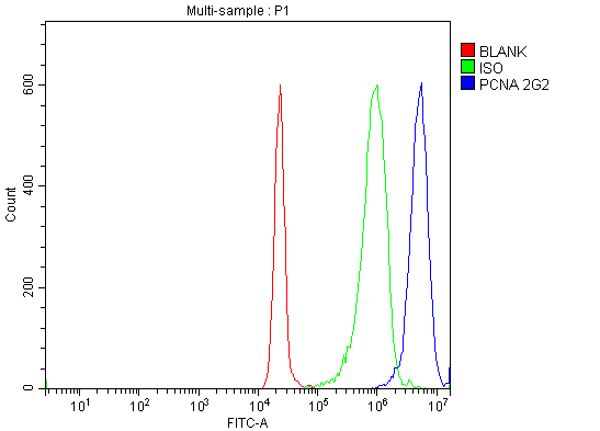 1 - Anti-PCNA Antibody Picoband™ (monoclonal, 2G2) ABO15100