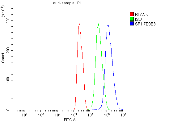 1 - Anti-splicing factor 1 Antibody Picoband™ (monoclonal, 7D9E3) ABO15101