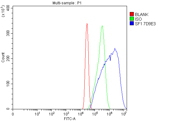 1 - Anti-splicing factor 1 Antibody Picoband™ (monoclonal, 7D9E3) ABO15101